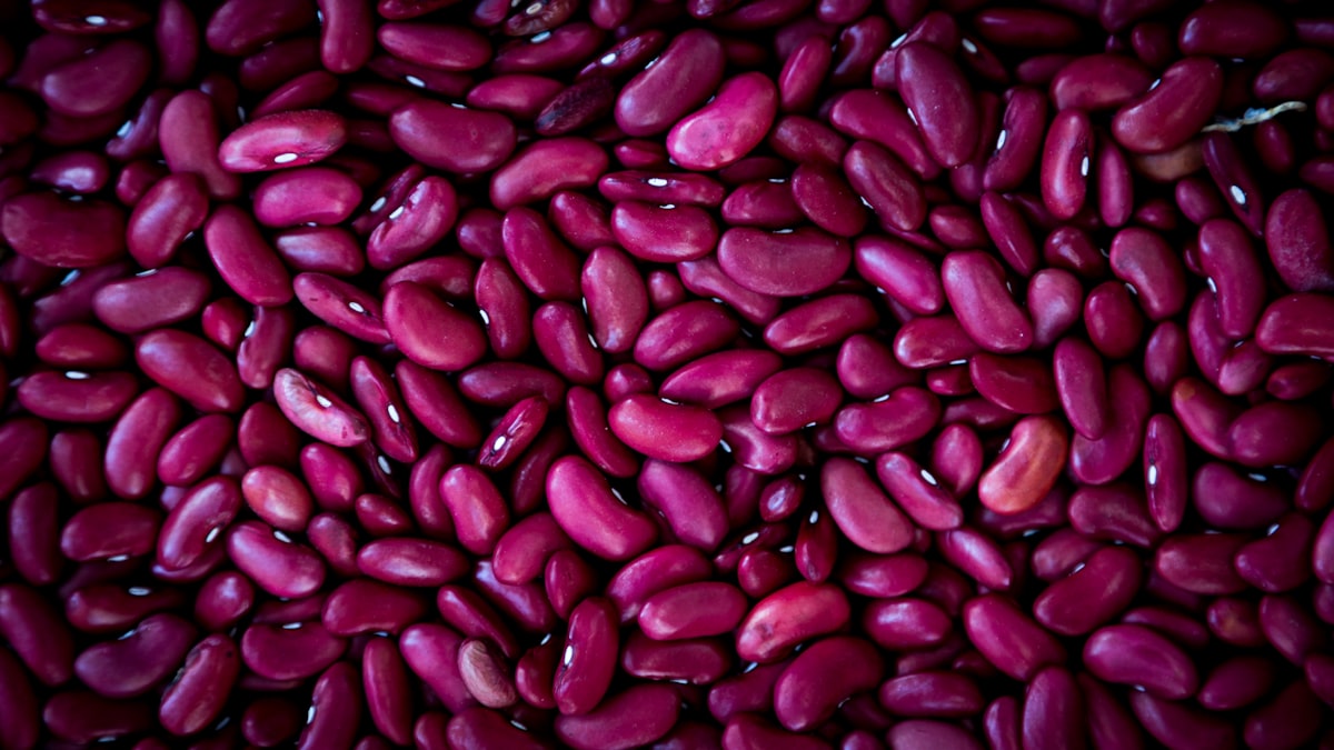 Légumes verts et legumineuses - brocoli, lentilles et pois chiches